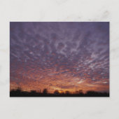 N.A., VS, New Mexico, bij Las Cruces, Briefkaart (Voorkant)