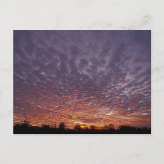 N.A., VS, New Mexico, bij Las Cruces, Briefkaart (Voorkant)