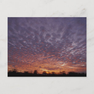 N.A., VS, New Mexico, bij Las Cruces, Briefkaart