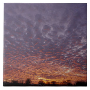 N.A., VS, New Mexico, bij Las Cruces, Tegeltje