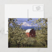 N.A., VS, Oregon, Hood River County. Rood Briefkaart (Voorkant / Achterkant)
