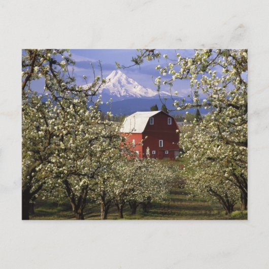 N.A., VS, Oregon, Hood River County. Rood Briefkaart (Voorkant)