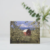 N.A., VS, Oregon, Hood River County. Rood Briefkaart (Staand voorkant)