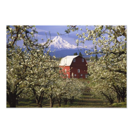 N.A., VS, Oregon, Hood River County. Rood Foto Afdruk (Voorkant)