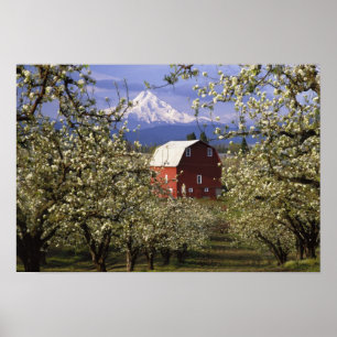 N.A., VS, Oregon, Hood River County. Rood Poster