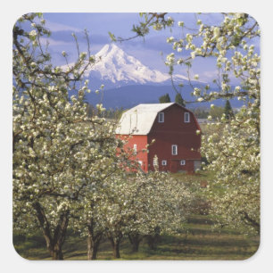 N.A., VS, Oregon, Hood River County. Rood Vierkante Sticker