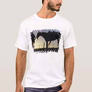 N.A., VS, Oregon, Seneca, Ponderosa Ranch, T-shirt