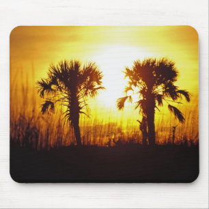 N.A., VS, South Carolina, Charleston. Zonsondergan Muismat