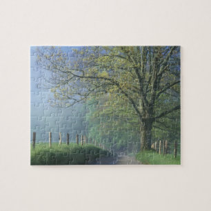 N.A., VS, Tennessee, Smokey Mts. Nationaal park, Legpuzzel