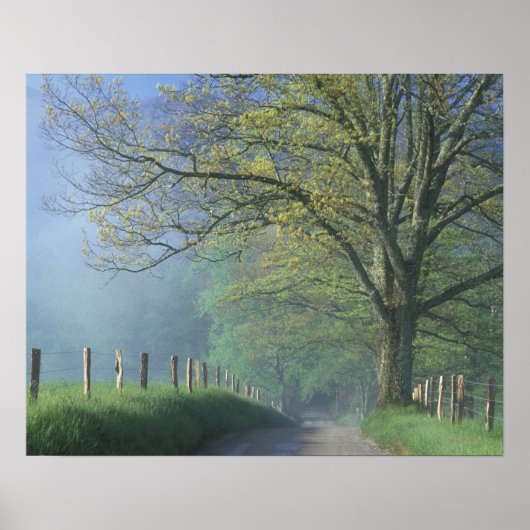 N.A., VS, Tennessee, Smokey Mts. Nationaal park, Poster (Voorkant)