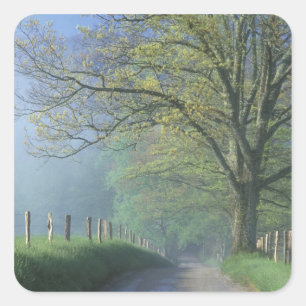 N.A., VS, Tennessee, Smokey Mts. Nationaal park, Vierkante Sticker