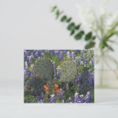 N.A., VS, Texas, Cactus omringd door Briefkaart (Staand voorkant)