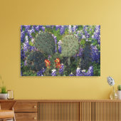N.A., VS, Texas, Cactus omringd door Canvas Afdruk (Insitu (Woonkamer))