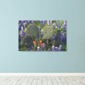 N.A., VS, Texas, Cactus omringd door Canvas Afdruk (Insitu (Houten vloer))