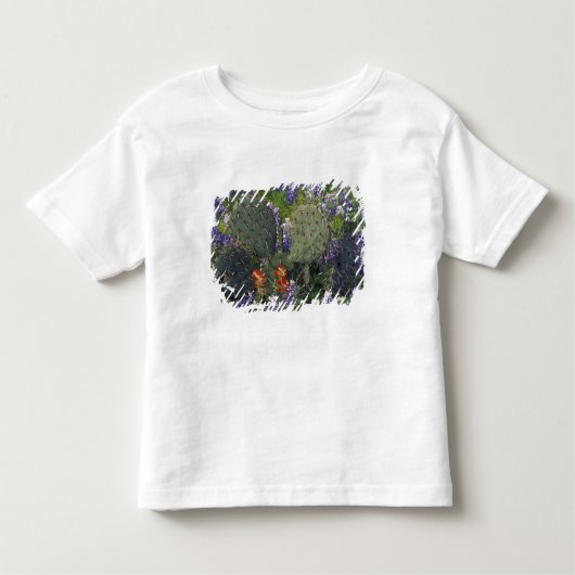 N.A., VS, Texas, Cactus omringd door Kinder Shirts (Voorkant)