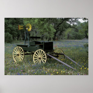 N.A., VS, Texas, Devine, Old wagon en Poster