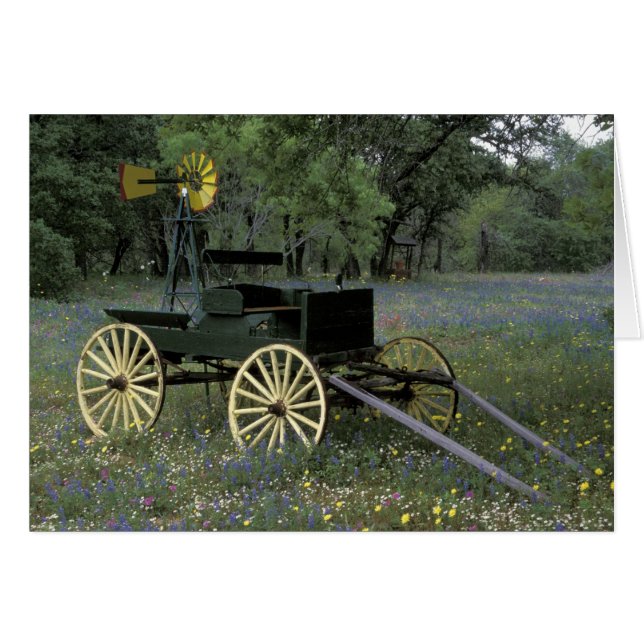 N.A., VS, Texas, Devine, Oude wagen en (Voorkant Horizontaal)