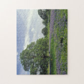 N.A, VS, Texas, Lake Buchanan, Eiken en Blauwe mut Legpuzzel (Verticaal)