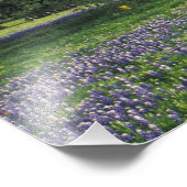 N.A., VS, Texas, Lake Buchanan, Oaks en Blue Foto Afdruk (Hoek)