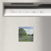 N.A., VS, Texas, Lake Buchanan, Oaks en Blue Magneet (Insitu (Vaatwasser))