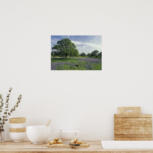 N.A., VS, Texas, Lake Buchanan, Oaks en Blue Poster (Keuken)