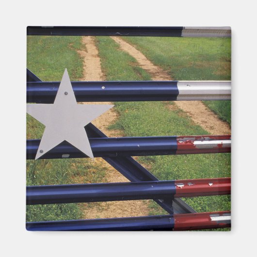 N.A., VS, Texas, Lake Buchanan, vlag van Texas Magneet (Voorkant)