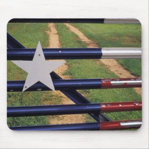 N.A., VS, Texas, Lake Buchanan, vlag van Texas Muismat