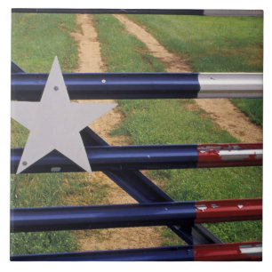 N.A., VS, Texas, Lake Buchanan, vlag van Texas Tegeltje