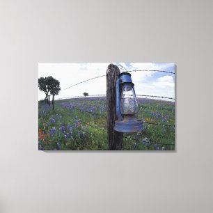 N.A., VS, Texas, Llano, Blauwe Lantaarn, Eik Canvas Afdruk