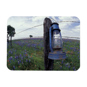 N.A., VS, Texas, Llano, Blauwe Lantaarn, Eik Magneet