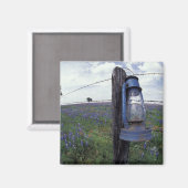 N.A., VS, Texas, Llano, Blauwe Lantaarn, Eik Magneet (Voorkant / Achterkant)