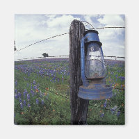 N.A., VS, Texas, Llano, Blauwe Lantaarn, Eik