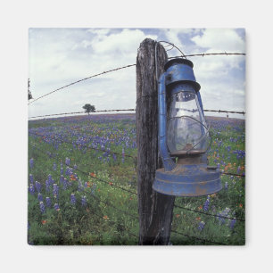 N.A., VS, Texas, Llano, Blauwe Lantaarn, Eik Magneet