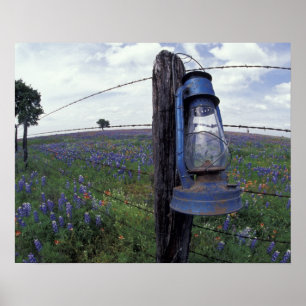 N.A., VS, Texas, Llano, Blauwe Lantaarn, Eik Poster