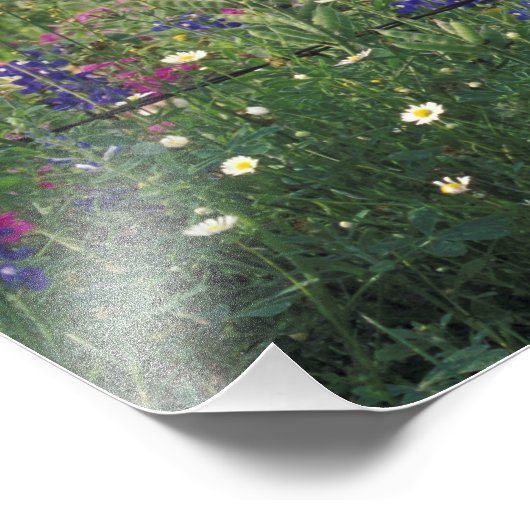 N.A., VS, Texas, Lytle, Fence post en Foto Afdruk (Hoek)