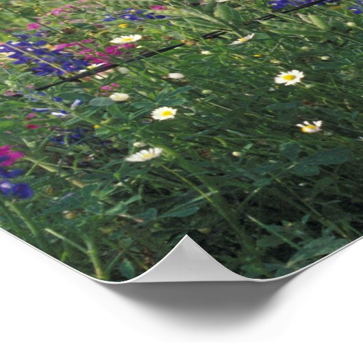 N.A., VS, Texas, Lytle, Fence post en Poster (Hoek)