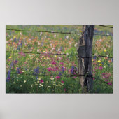 N.A., VS, Texas, Lytle, Fence post en Poster (Voorkant)