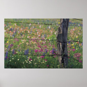 N.A., VS, Texas, Lytle, Fence post en Poster