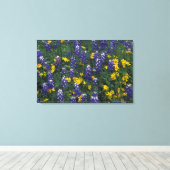 N.A, VS, Texas, Marble Falls, Blau Bonen Canvas Afdruk (Insitu (Houten vloer))