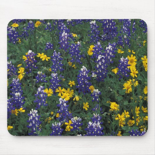 N.A, VS, Texas, Marble Falls, Blau Bonnetten Muismat (Voorkant)