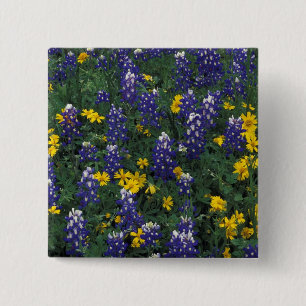 N.A, VS, Texas, Marble Falls, Blau Bonnetten Vierkante Button 5,1 Cm