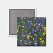 N.A, VS, Texas, Marble Falls, Blau Bonte Magneet (Voorkant / Achterkant)