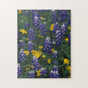 N.A, VS, Texas, Marble Falls, Blau helmknop Legpuzzel