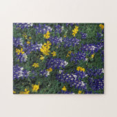 N.A., VS, Texas, marmer Herfsten, blauwe bont Legpuzzel (Horizontaal)