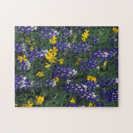 N.A., VS, Texas, marmer Herfsten, blauwe bont Legpuzzel (Horizontaal)