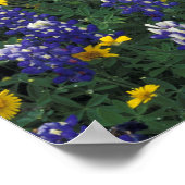 N.A., VS, Texas, marmer Herfsten, blauwe bont Poster (Hoek)