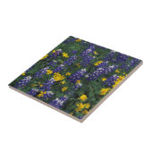 N.A., VS, Texas, marmer Herfsten, blauwe bont Tegeltje (Zijkant)