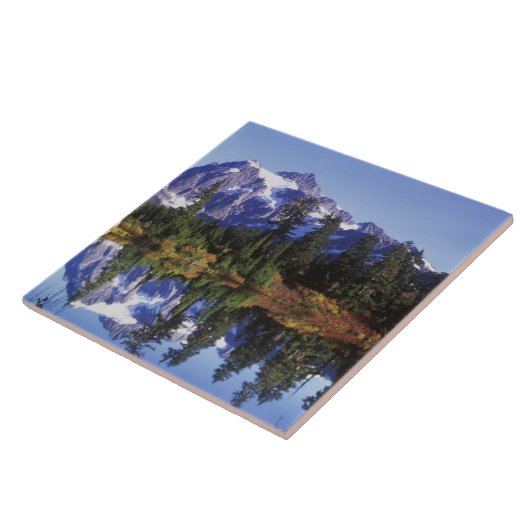 N.A., VS, Washington, Mt. Baker & Snoqualmie Tegeltje (Zijkant)