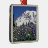 N.A., VS, Washington Mt. Rainier en Metalen Ornament (Rechts)