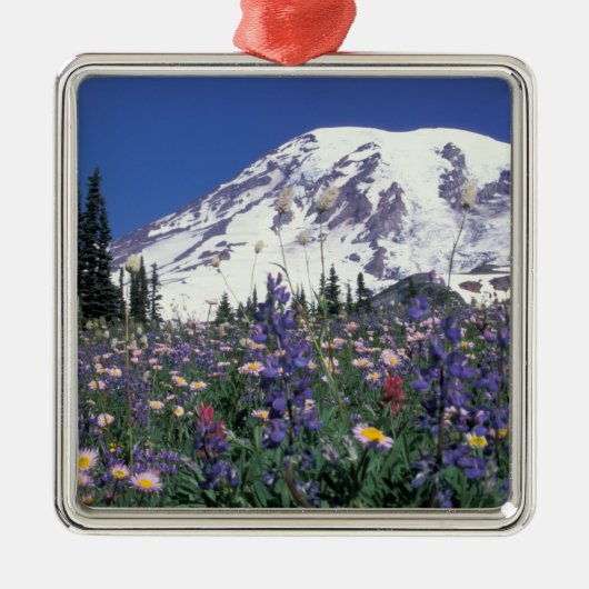 N.A., VS, Washington Mt. Rainier en Metalen Ornament (Voorkant)